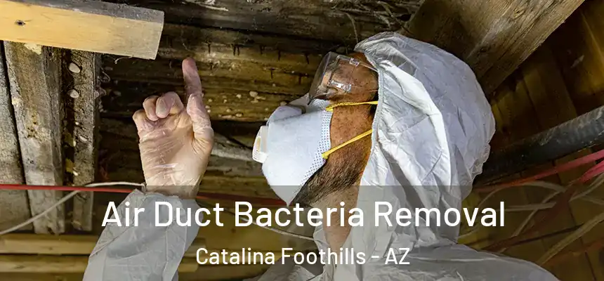 Air Duct Bacteria Removal Catalina Foothills - AZ