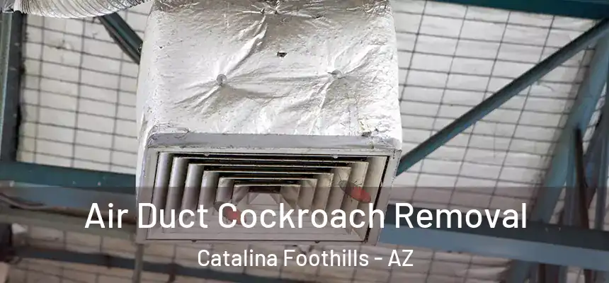 Air Duct Cockroach Removal Catalina Foothills - AZ