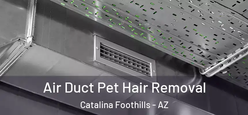  Air Duct Pet Hair Removal Catalina Foothills - AZ