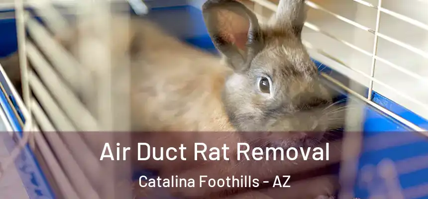  Air Duct Rat Removal Catalina Foothills - AZ