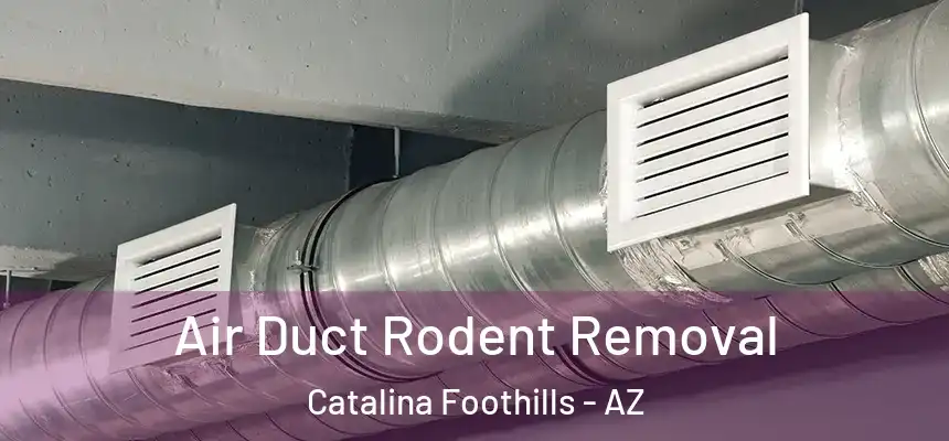 Air Duct Rodent Removal Catalina Foothills - AZ