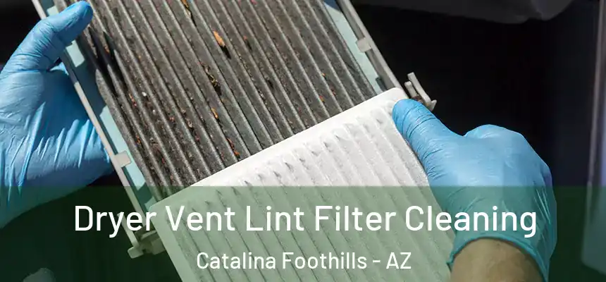  Dryer Vent Lint Filter Cleaning Catalina Foothills - AZ