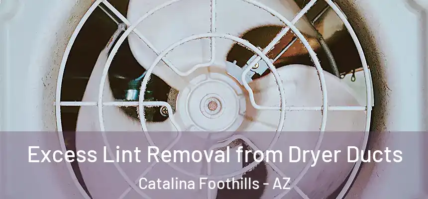 Excess Lint Removal from Dryer Ducts Catalina Foothills - AZ