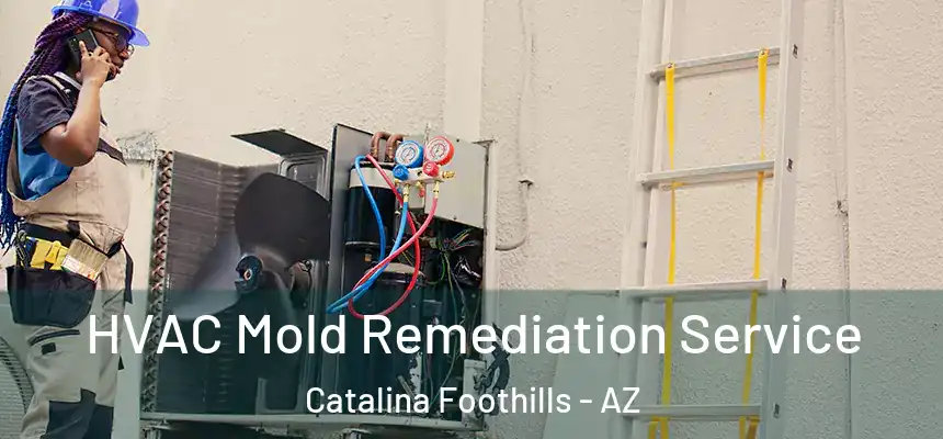 HVAC Mold Remediation Service Catalina Foothills - AZ
