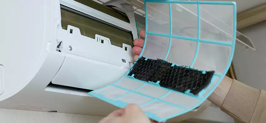 Gentle Ductwork Odor-Control Pet Dander Duct Cleaning in Catalina Foothills, AZ