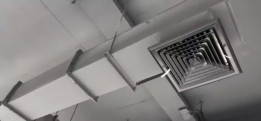 Our Rodent Droppings In Vents Services in Catalina Foothills, AZ