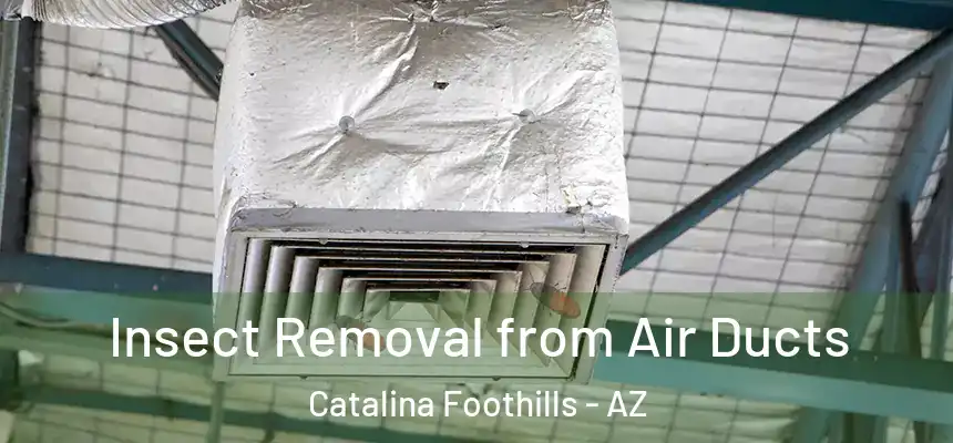 Insect Removal from Air Ducts Catalina Foothills - AZ