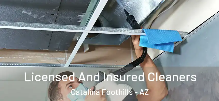 Licensed And Insured Cleaners Catalina Foothills - AZ