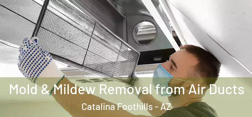 Mold & Mildew Removal from Air Ducts Catalina Foothills - AZ