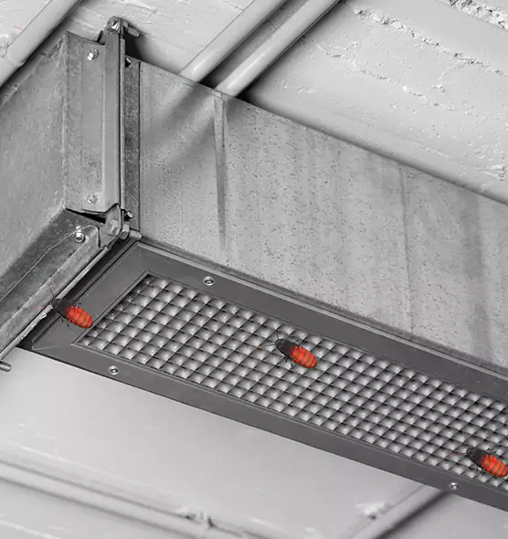 About Air Duct Cockroach Removal in Catalina Foothills, AZ