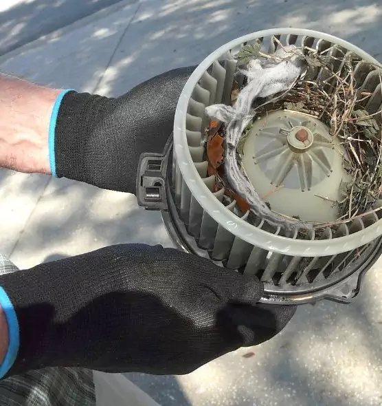 About Air Duct Mice Removal in Catalina Foothills, AZ