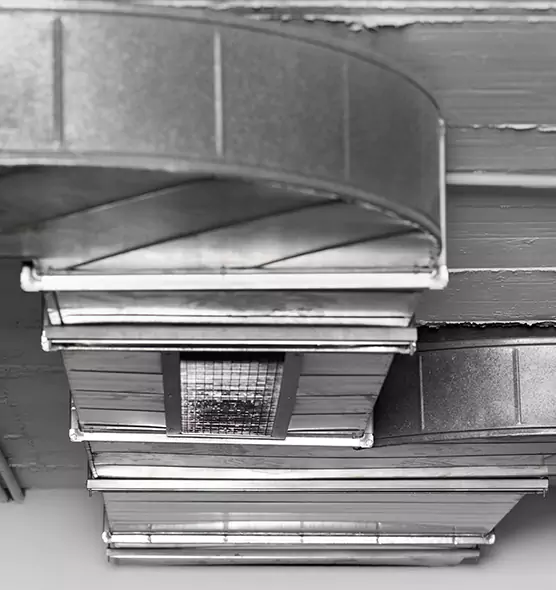 Professional Air Duct Pet Hair Removal in Catalina Foothills, AZ