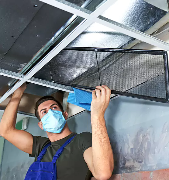 Professional Air Duct Pollen Cleaning in Catalina Foothills, AZ