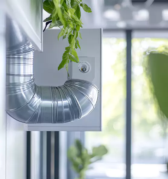 Professional Eco-Friendly Duct Cleaning Services in Catalina Foothills, AZ