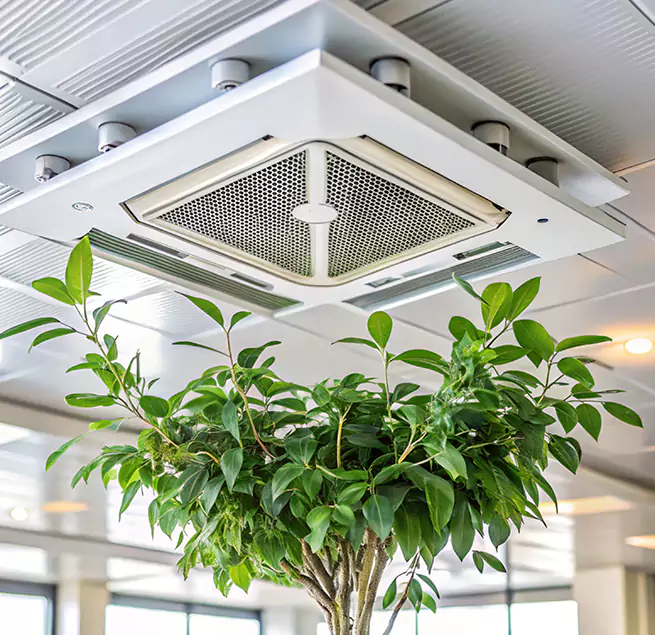 Why Homeowners & Businesses Trust Us in Catalina Foothills, AZ?