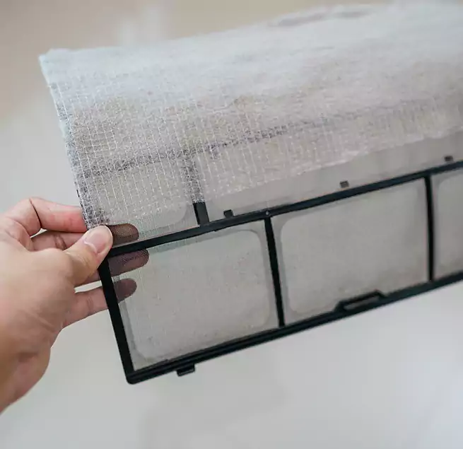 Why Homeowners & Businesses Trust Us in Catalina Foothills, AZ?