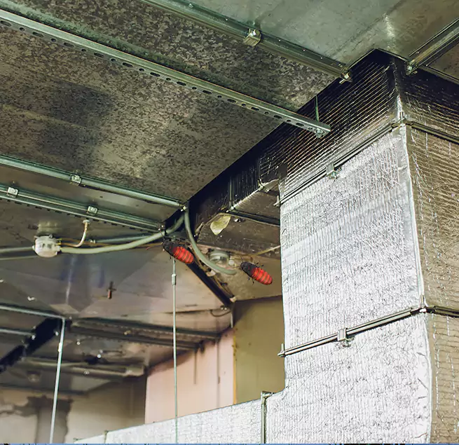 Why Homeowners & Businesses Trust Us Catalina Foothills, AZ?