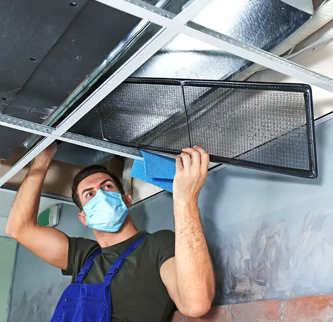 Why Homeowners & Businesses Trust Us in Catalina Foothills, AZ?