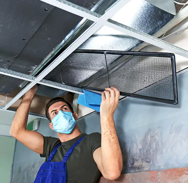 Why Homeowners Businesses Trust Us in Catalina Foothills, AZ?